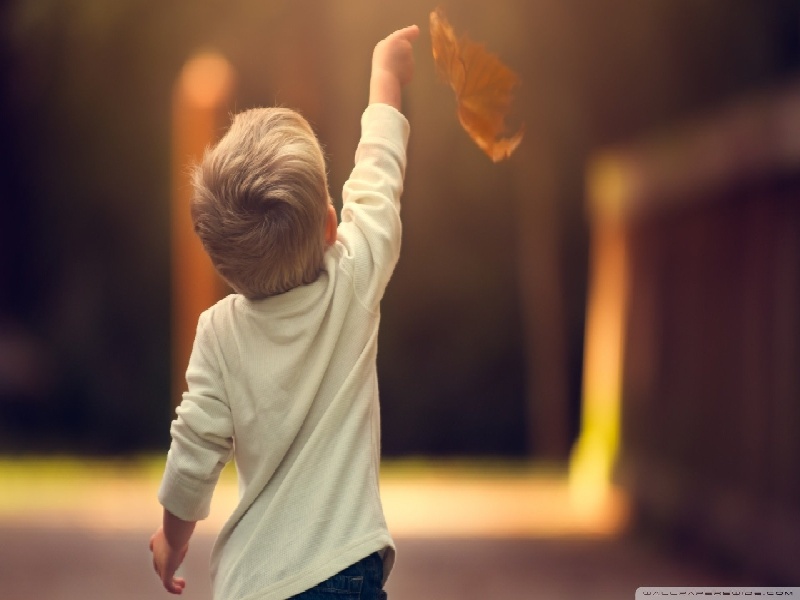 上海哪里做试管，取样试管多少毫升